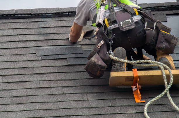 Best Roof Gutter Cleaning  in South Amherst, OH