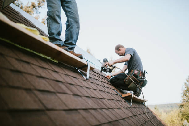 Best Flat Roof Repair Services  in South Amherst, OH